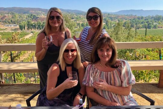 Guided Temecula Wine Tour from San Diego