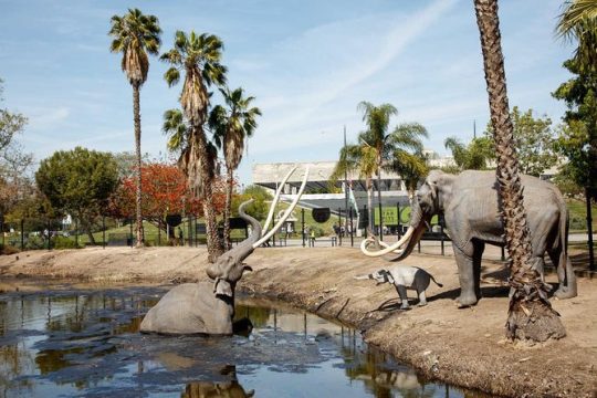 Admission: La Brea Tar Pits and Museum Admission Ticket