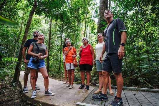 Daintree Discovery Tours - Full Day Daintree Rainforest Tour