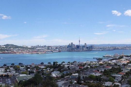 Half-Day: Small Group Auckland Scenic Tour - 4 HOURS