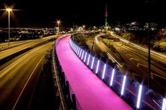 The City Lights: a unique electric bike tour of Auckland by night!
