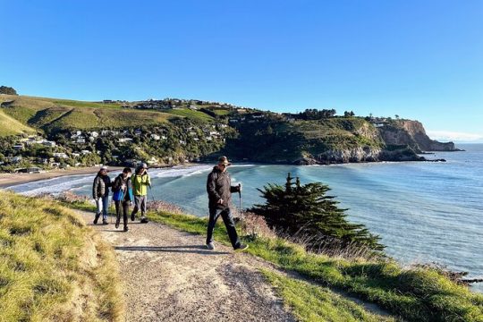 Guided Walking Tour and Picnic on Banks Peninsula
