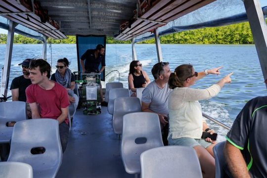 Daintree Discovery Tours - Morning Half Day Daintree River & Mossman Gorge