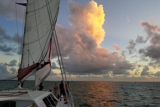 Castaway the Day Sunset Cruise in Miami