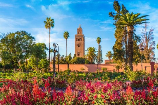 Marrakech Full Day Guided City Tour - Private Tour