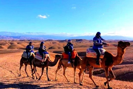 Desert Agafay & Atlas Mountains, Valleys & Waterfalls Tour from Marrakech