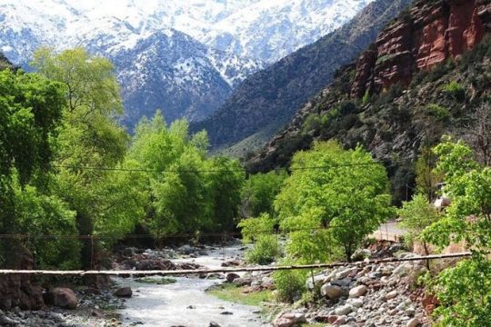 Atlas Mountains & Ourika Valley Private Day Trip From Marrakech