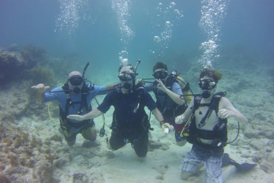 SCUBA Dive and See the Amazing Key Largo Reef