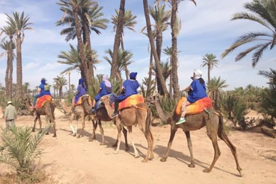 Marrakech Camel Ride Experience with Pick-up