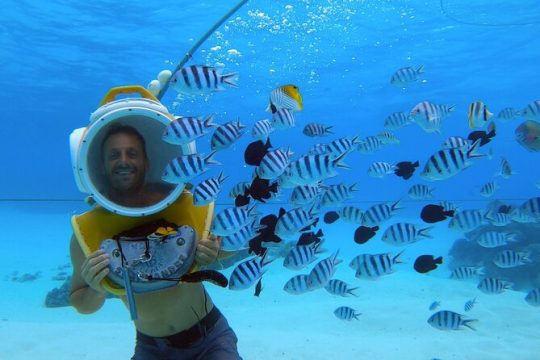 Aqua Safari Introductory Helmet Dive (Underwater Walk)