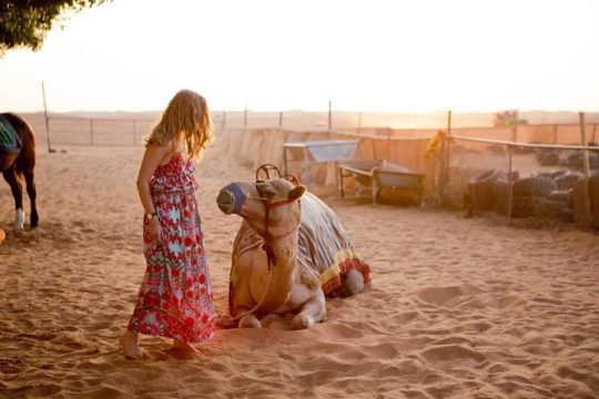 Dubai Red Dunes Desert Safari, With BBQ, Camel Ride, Sand Boarding And Much More