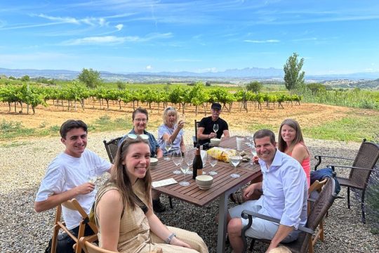 Three Vineyard Winery Small Group tour in Penedes Region from Barcelona