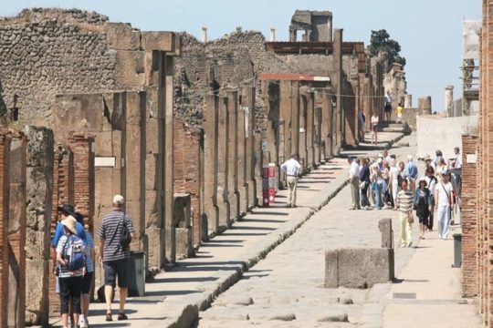 Small-Group Tour: Pompeii and Naples from Rome with Lunch in a Biologic Farm