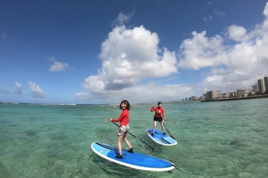 Stand Up Paddleboarding - Semi-Private Lessons - Waikiki, Oahu