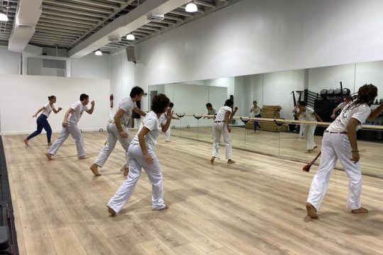 Adults Capoeira Class