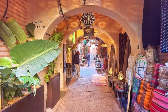 Guided Walking Tour of Marrakech