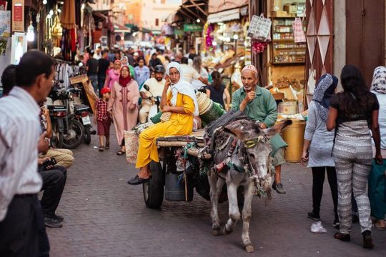 Discover Marrakech Like a Local Private Tour