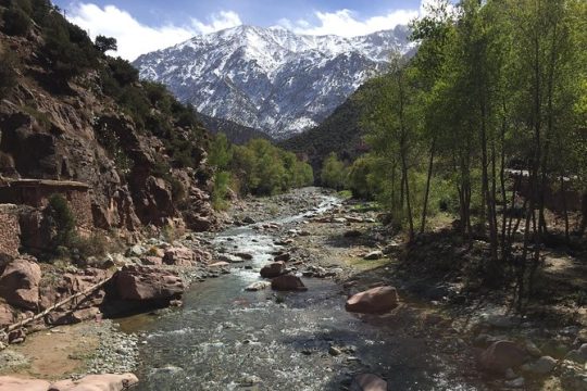 The Atlas Mountains and 5 Valleys Day Trip from Marrakech with Berber Lunch