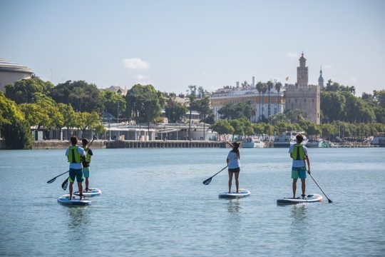 Seville: Paddle Surf Route and Class