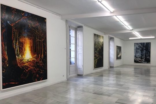Hidden Art Galleries and Artist's Studio in Madrid