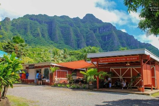 Oahu: North Shore & Dole Plantation Island Discover Tour