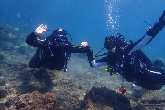 Discover Scuba Diving in Lanzarote (No experience needed)