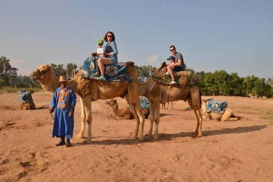 Sunset camel ride in Agadir with transport, tea and cakes.