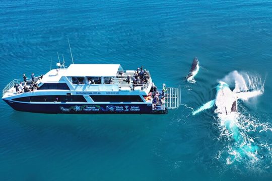 Remote Fraser Island & Whale Experience