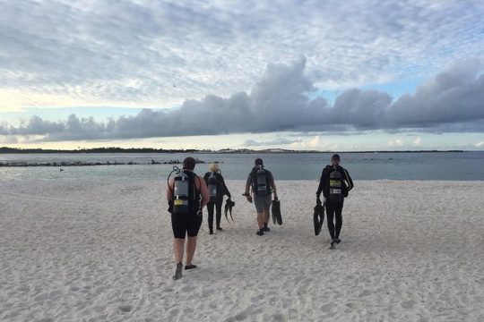 Small Group Guided Shore Dives in St. Andrews State Park, Florida