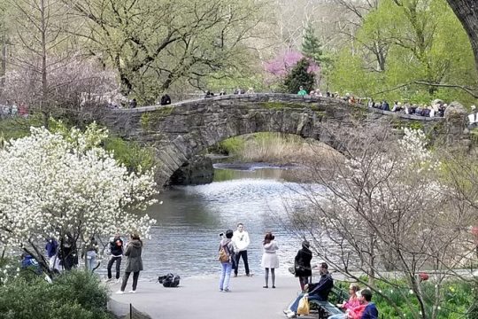 Central Park Secrets And Highlights