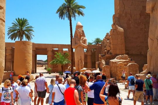 8 Hours Tour to see East and West Banks of Luxor with Lunch and Guide...