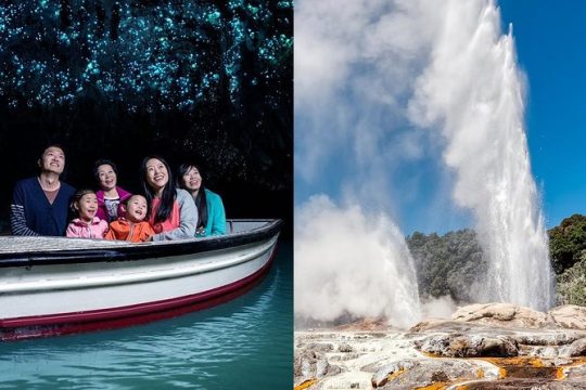 Waitomo Caves & Rotorua Small Group Tour including Te Puia from Auckland