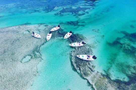 Key West Safari Eco Tour Adventure with Snorkeling