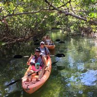 Kayaking & Canoeing