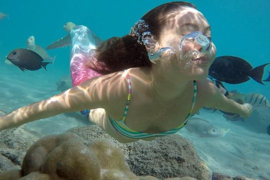 Mermaid Video shoot and Snorkel Adventure