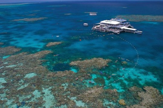 Quicksilver Outer Great Barrier Reef Snorkel Cruise from Port Douglas
