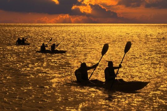 Gulf of Mexico Sunset Kayak Tour of Key West