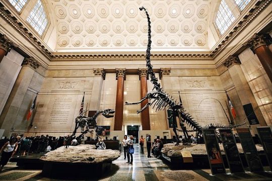 Met & Natural History Museum Skip-the-Line - Exclusive Combo Tour