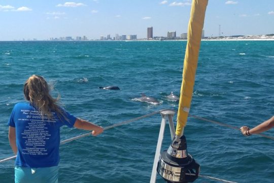 Panama City Beach Dolphins & Mimosas Sail on 40' SV Footloose