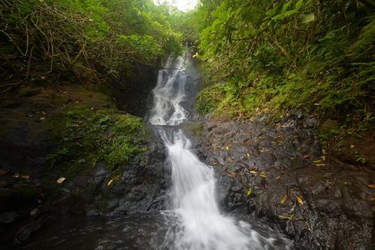 Ko'olau Waterfall Hike