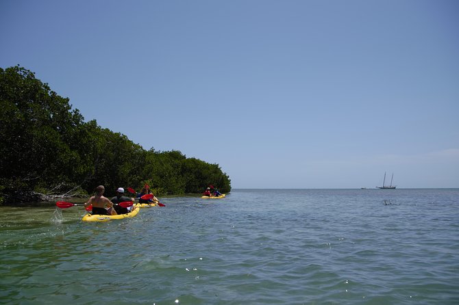 Key West Schooner Backcountry Eco-Tour Image 5