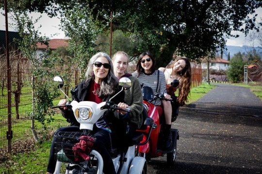 5 hr Guided Wine Country Tour in Sonoma on an Electric Trike