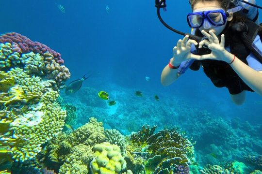 Learn to Scuba Dive with a Professional Instructor in Key Largo - All Inclusive