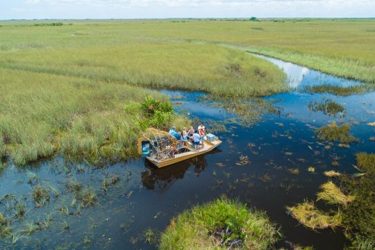 60 min. Airboat Everglades Tour plus pick up in a small group with an experienced tour guide