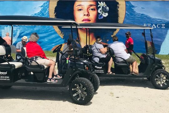 Small-Group Brewery Golf Cart Tour of Wynwood with a Local Guide