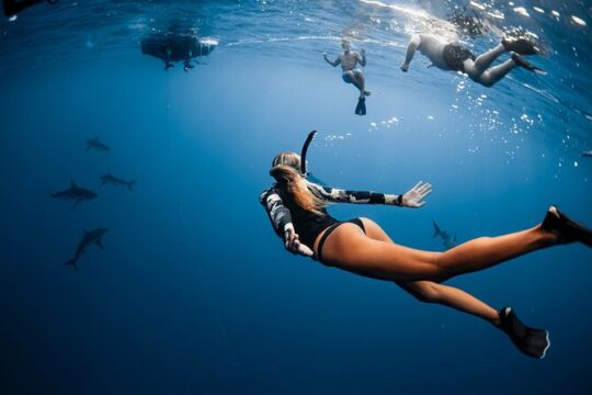 Shark Diving (no cage) with Deep Blue Eco Tours, Oahu, HI