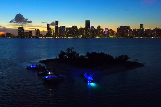 Miami Skyline by Night 3-Hour Boat Tour (with Captain)