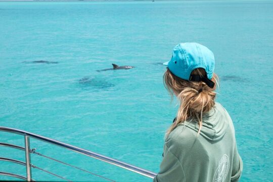 Dolphin Watch & Snorkel with Honest Eco