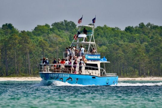 Frisky Mermaid Public Dolphin + Sightseeing Tour Up to 49 Pax