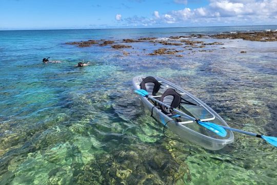 Glass Bottom Kayak and snorkel tour Pictures and guaranteed turtles